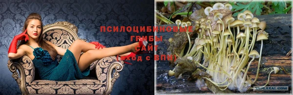 соль ск Алексин