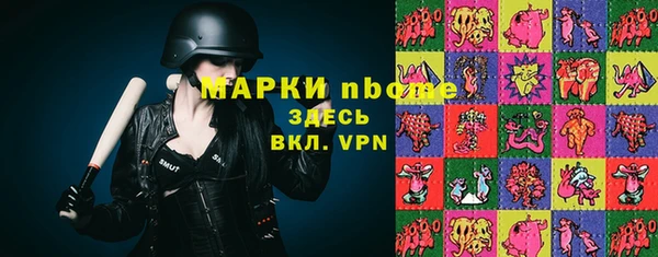 соль ск Алексин