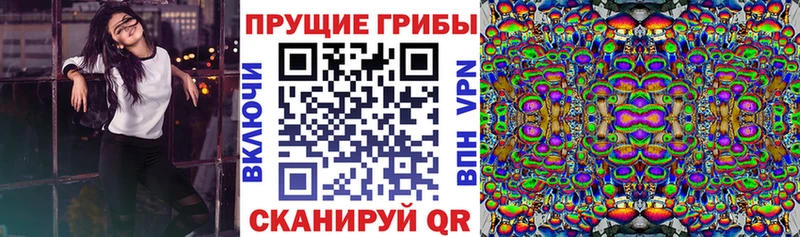 Псилоцибиновые грибы ЛСД ОМГ ОМГ маркетплейс Учалы где продают