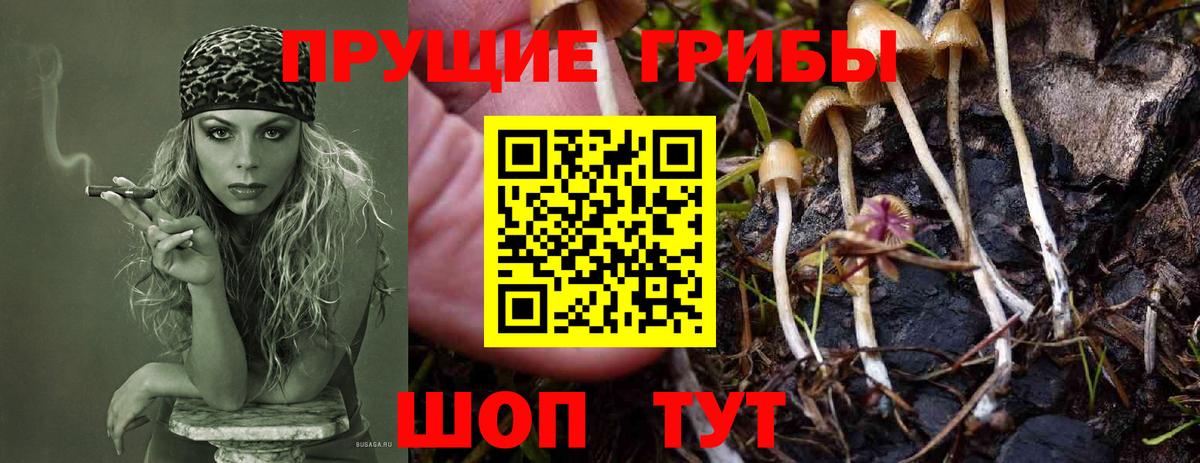 Псилоцибиновые грибы Psilocybe Учалы